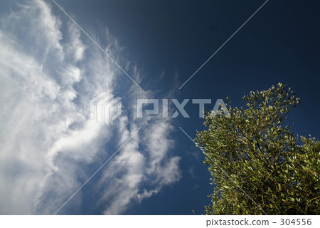 小豆島 瀨戶內海 香川縣 304556