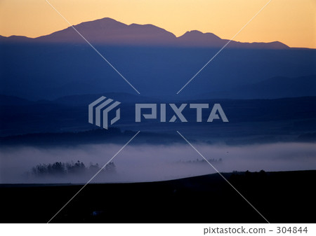 染頂峰 染頂峰 304844