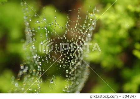 光的對象 光的對象 304847