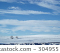 *雪景* 304955