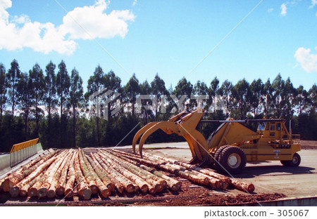Limited resources Limited resources 305067