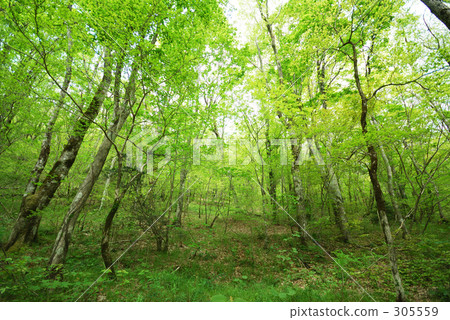 房間 空間 冷靜 305559