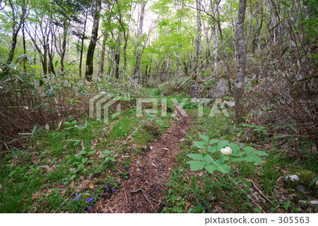 房間 空間 冷靜 305563