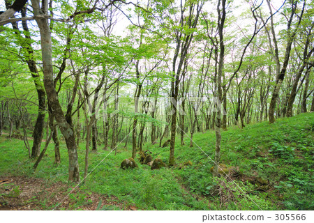 房間 空間 冷靜 305566