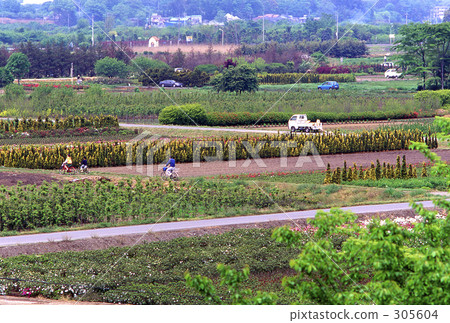 我的Numata Rice·春天0510 我的Numata Rice·春天0510 305604