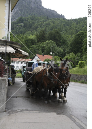 carriage, tourist, neuschwanstein castle 306292