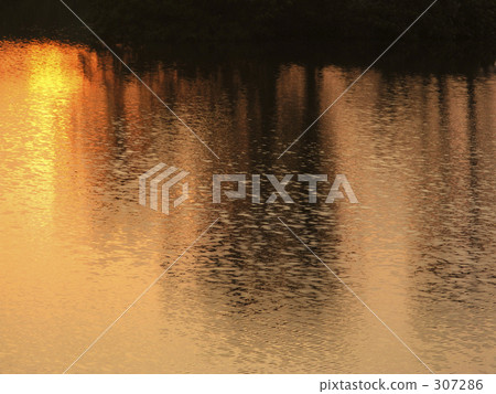 Sunset on the lake surface 307286
