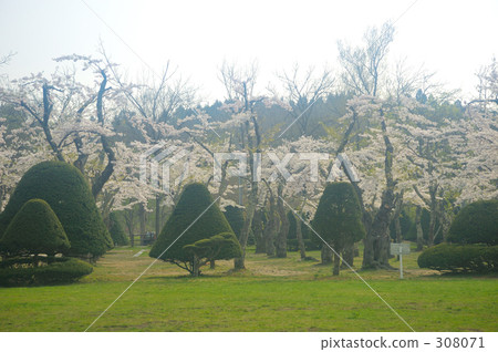 自然景色 蒼白 涵館 308071