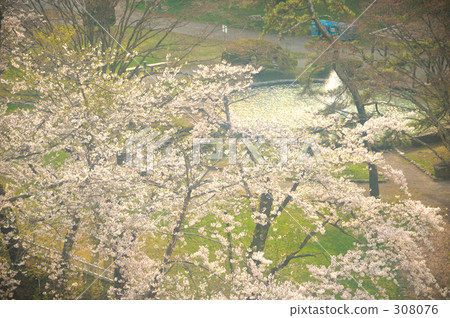 natural scenery, from above, pale 308076