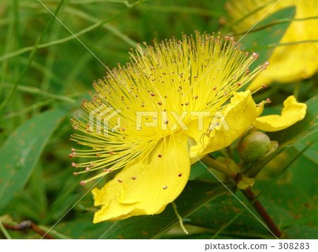 ow之木 ow之木 308283