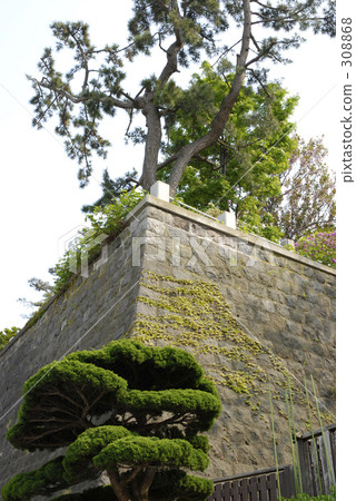 Pine and stone walls Pine and stone walls 308868