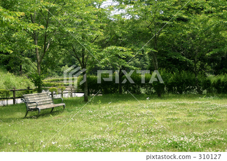 公園的長椅上 310127
