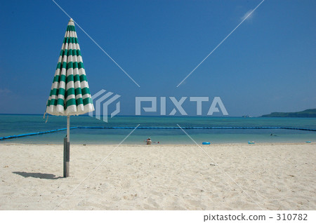 藍色的海洋 熱 海水浴 310782