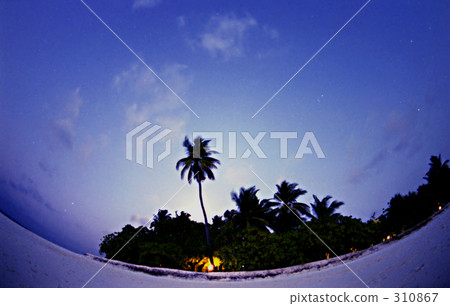 島上漂浮在月光下（安加加島，馬爾代夫共和國） 310867