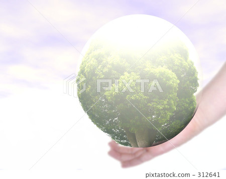 生態圖 生態圖 312641