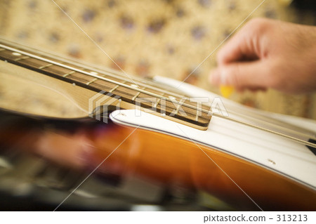 Play the bass 313213