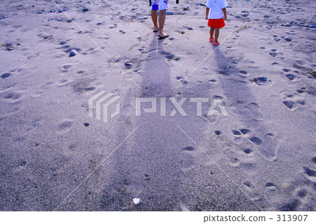 夏天的形象 313907