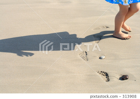 夏天的形象 313908