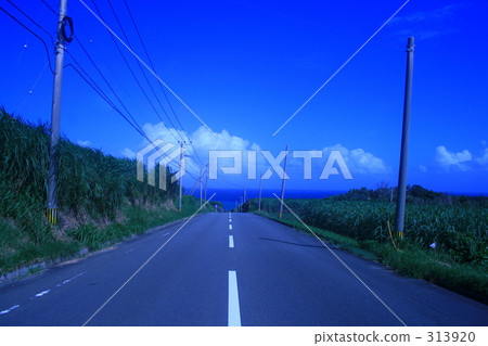 夏天的形象 313920