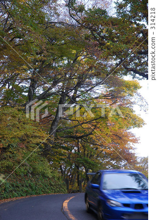Takahara Drive Takahara Drive 314218
