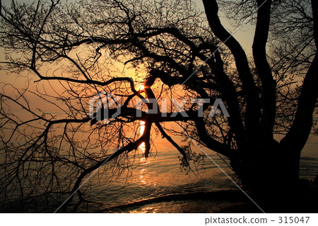 Morning lake Morning lake 315047