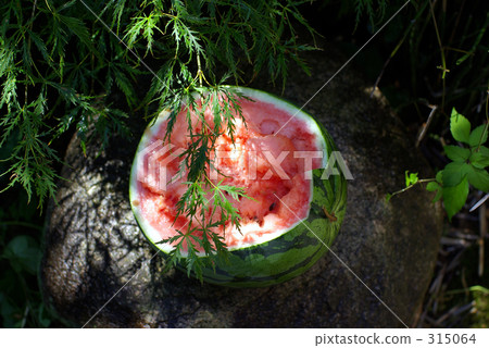 Cracked watermelon 315064