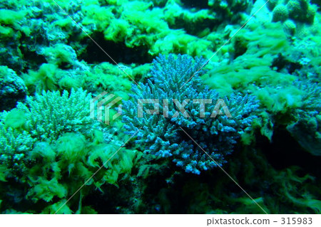 遊覽 旅遊業 觀光 315983