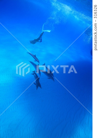 療癒 治癒 舒適 316326