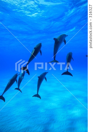 療癒 治癒 舒適 316327