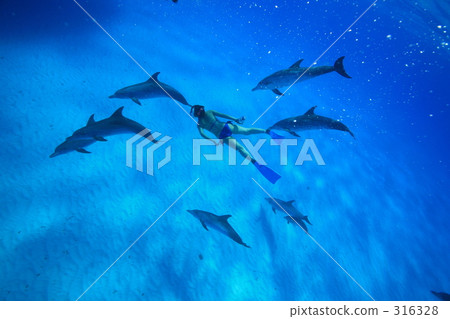 療癒 治癒 舒適 316328