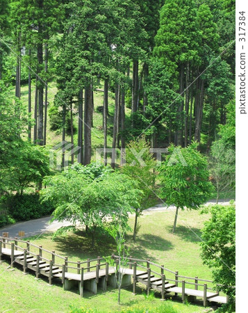 公園 公園 317384