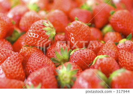 Ichigo（Fagacao） 317944