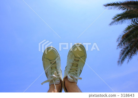 Sneakers and palm trees 318643