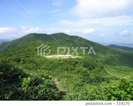 原始森林 上游 在山里 319270