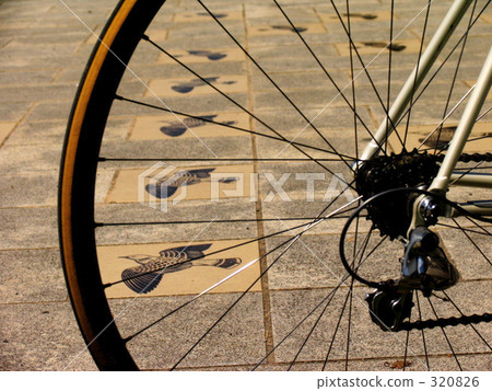 Bikes and tiles Bikes and tiles 320826