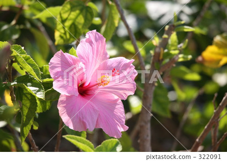 “0806夏季報告” 322091