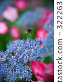 Bees patrol 322263
