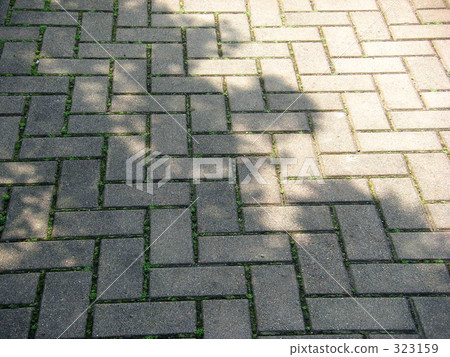 一棵樹的陰影 一棵樹的陰影 323159