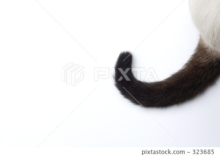 好心情曲線...... 323685