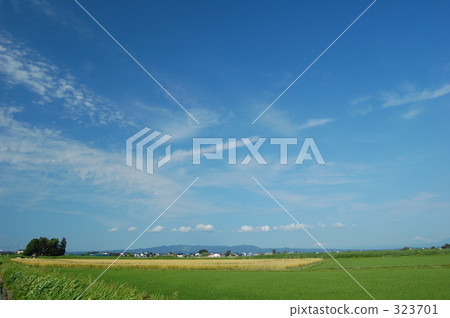 國家的天空 323701