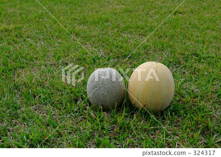 fruit, fruits, melon 324317