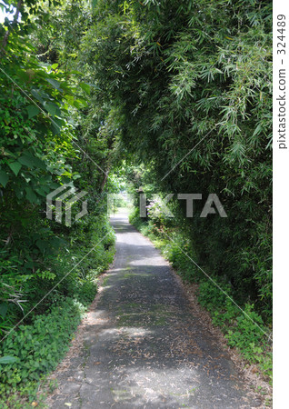 Green small diameter 324489