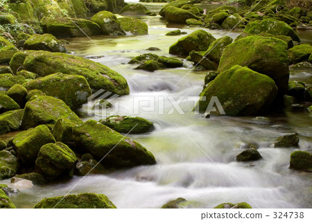 苔蘚山流 324738