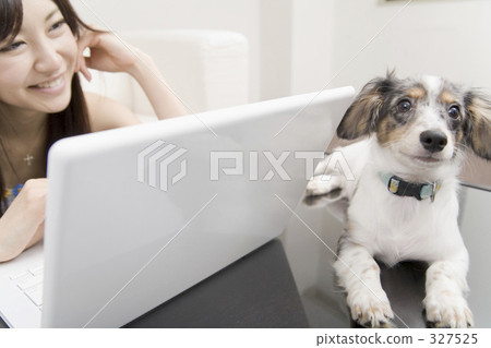 Young female, female, lady 327525