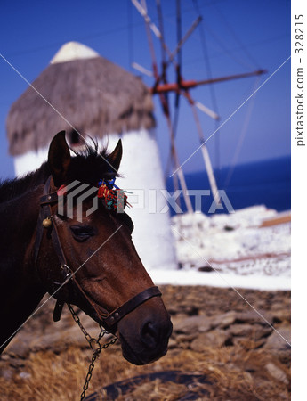 馬和風車 328215