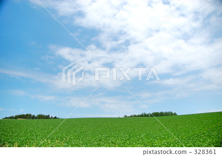 landscape, scape, scene 328361