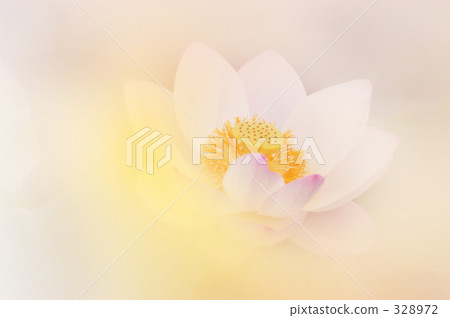 很多02 很多02 328972