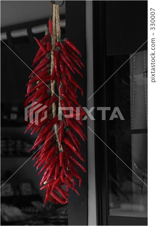 Capsicum Capsicum 330007