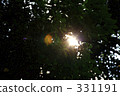 樹洩漏日，夏天白色天和天 331191