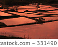 梯田 日落 夕陽 331490